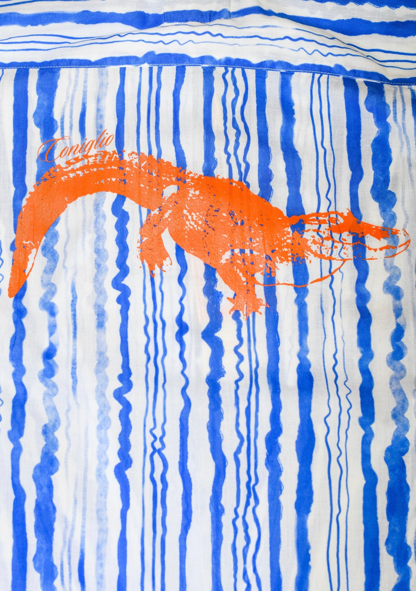 Business Casual | Classic Button Down with Screenprinting