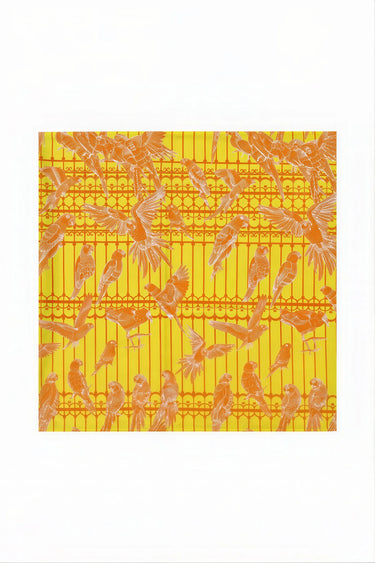 Seaview Scarf | Cotton Voile Coniglio Palm Beach